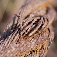Picasa textures